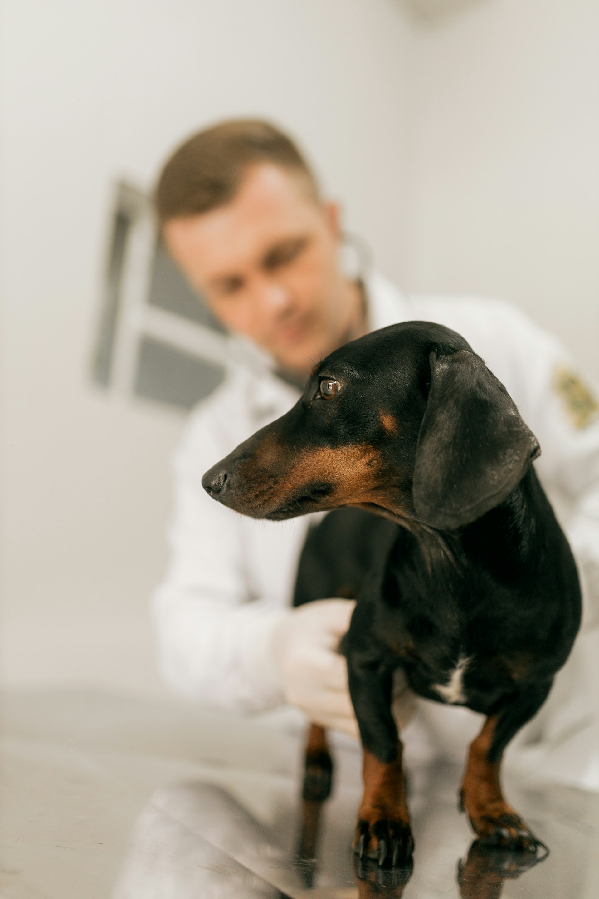 Veterinary Clinic Care